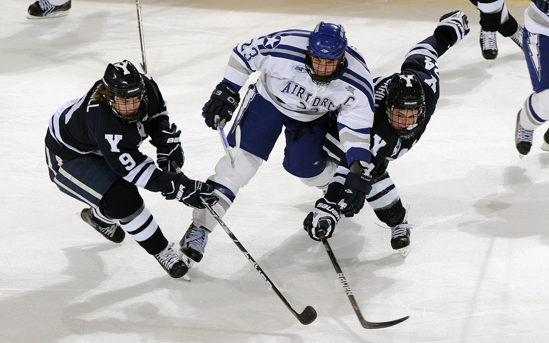 法甲攻守精彩：点滴瞬间铸就精彩战绩，法甲介绍