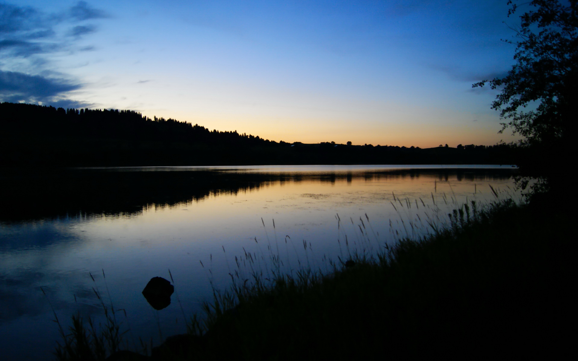 爱游戏娱乐网址-_夜幕城市骑行：灯火中的速度狂欢_，骑行夜景