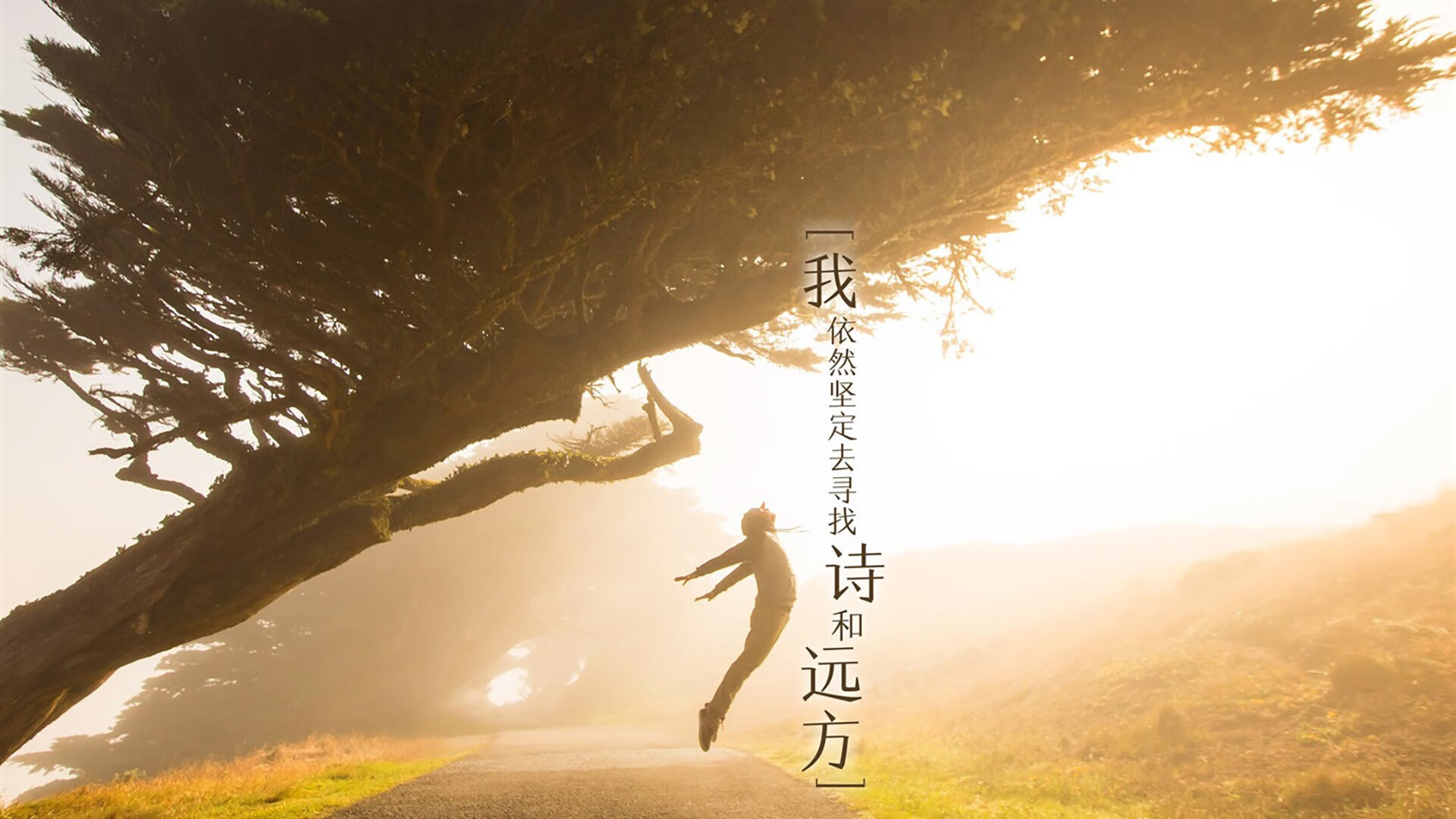 AYX GAME-_赛事组织者谈：如何应对突发状况与挑战_，应对突发状况的关键