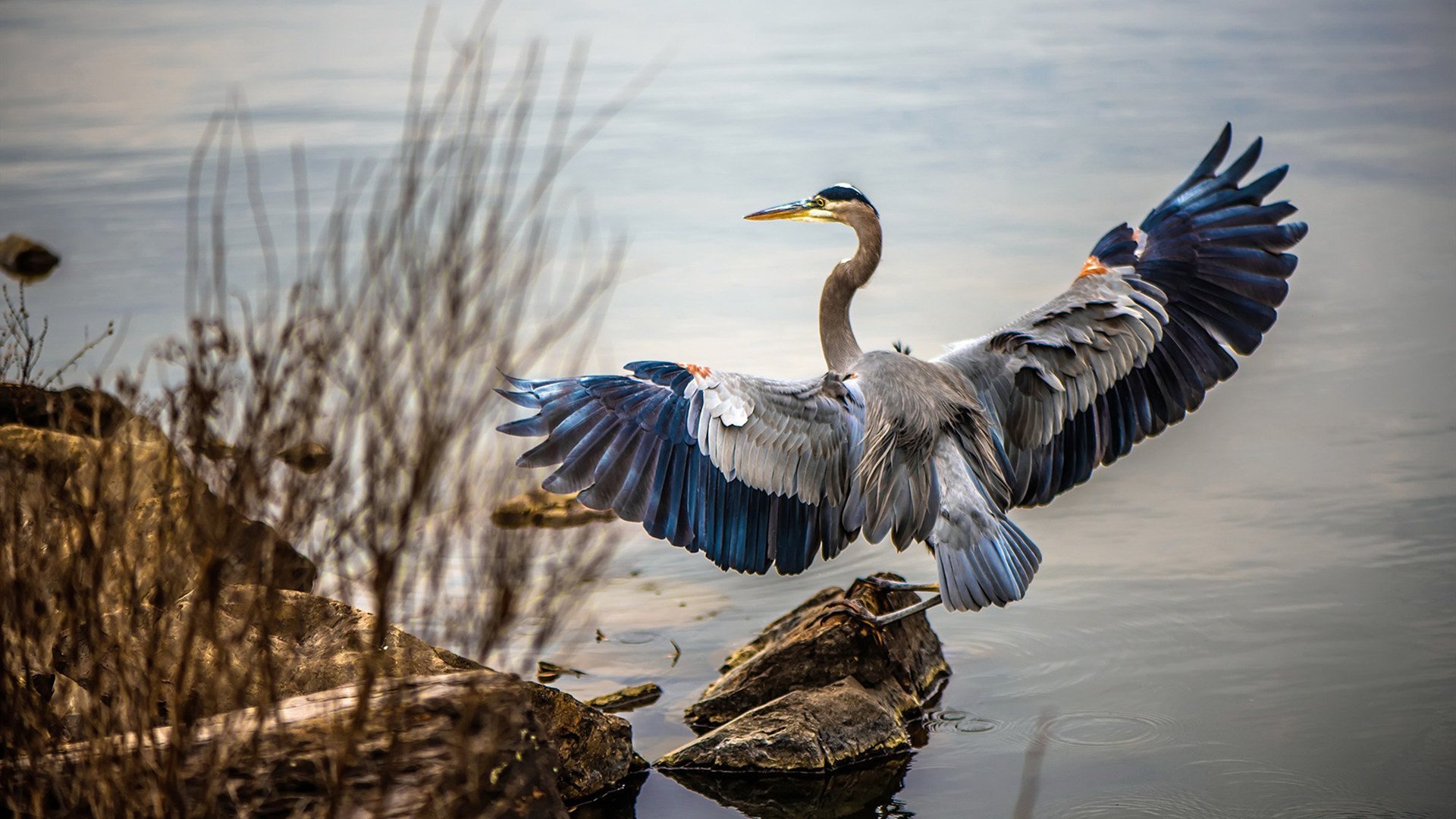 《青年电竞文化：从游戏到生活的多层面影响》，电竞 年轻人