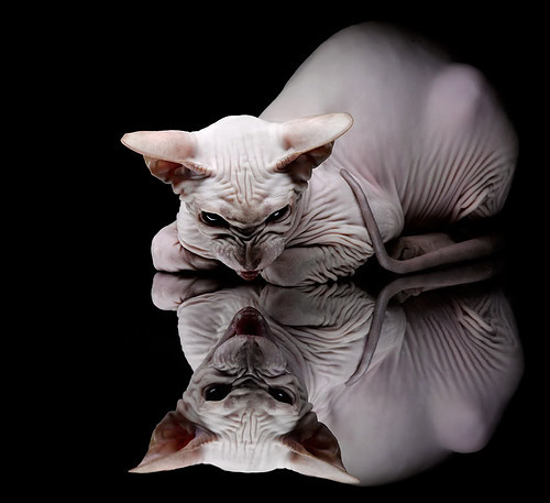 爱游戏体育（AYX）官方APP下载-【教士加强攻势】打线效率显著提升