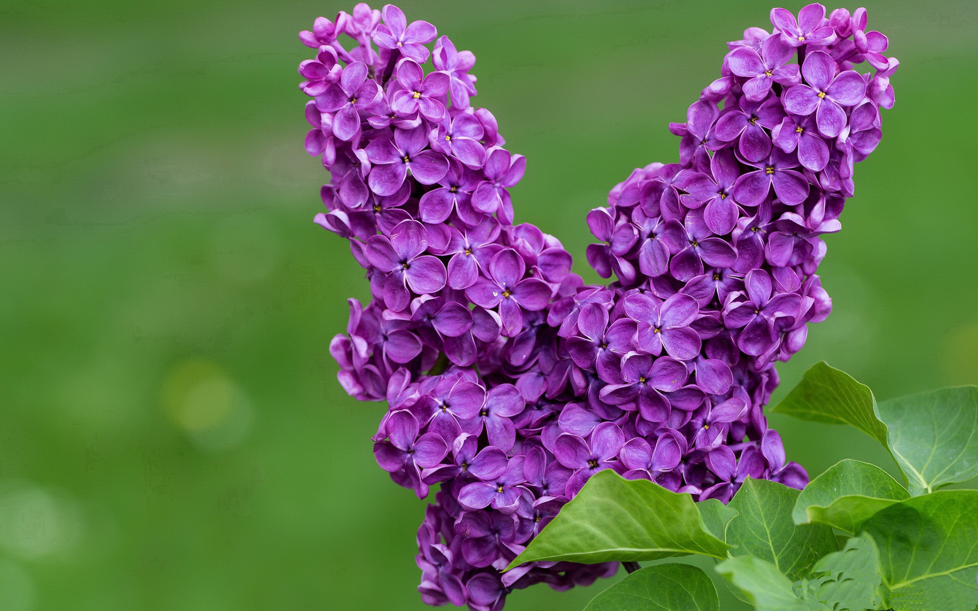 爱游戏娱乐网址-关键三分：王强最后一投，助队逆转成功！，王仕鹏关键三分